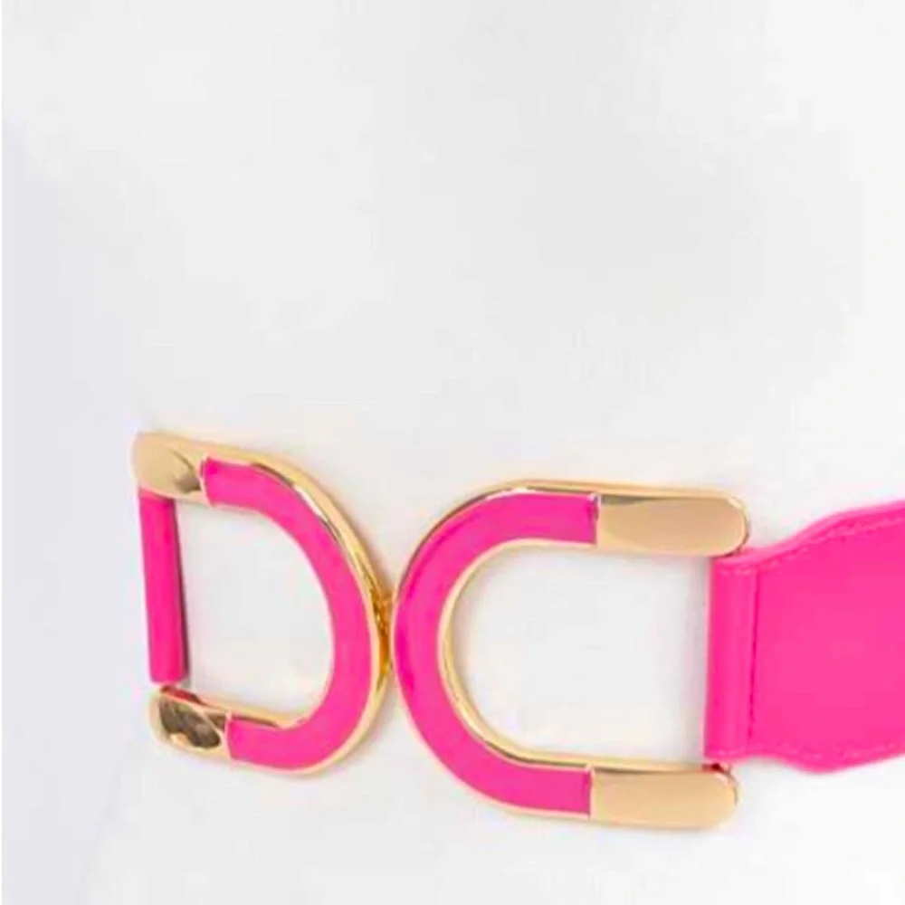 Barbie Pink & Gold Enamel Buckle Waist Statement Belt